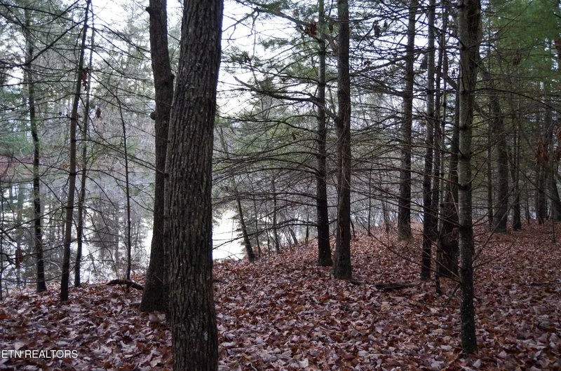 Sparta Hwy 63.3 Acres, Crossville, TN 38555, Crossville, Tennessee, United States. - Photo 54