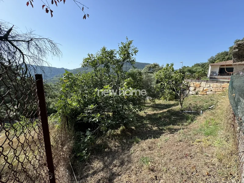 Les Adrets-de-l'Estérel, Provence-Alpes-Côte d'Azur, France. - Photo 18