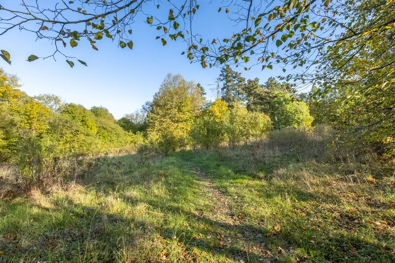 Barrandov, Prague 5, Czechia, Prague, Prague, Czechia. - Photo 32