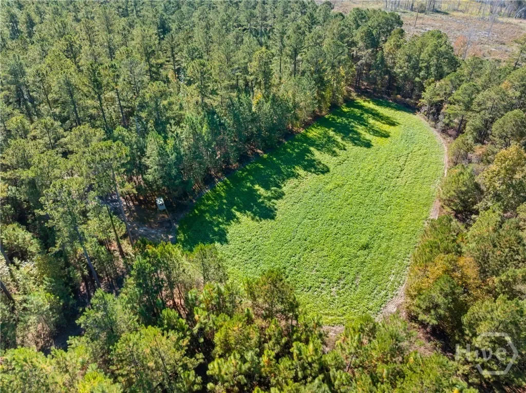 0 Honey Ridge Road, Millen, Georgia, United States. - Photo 51