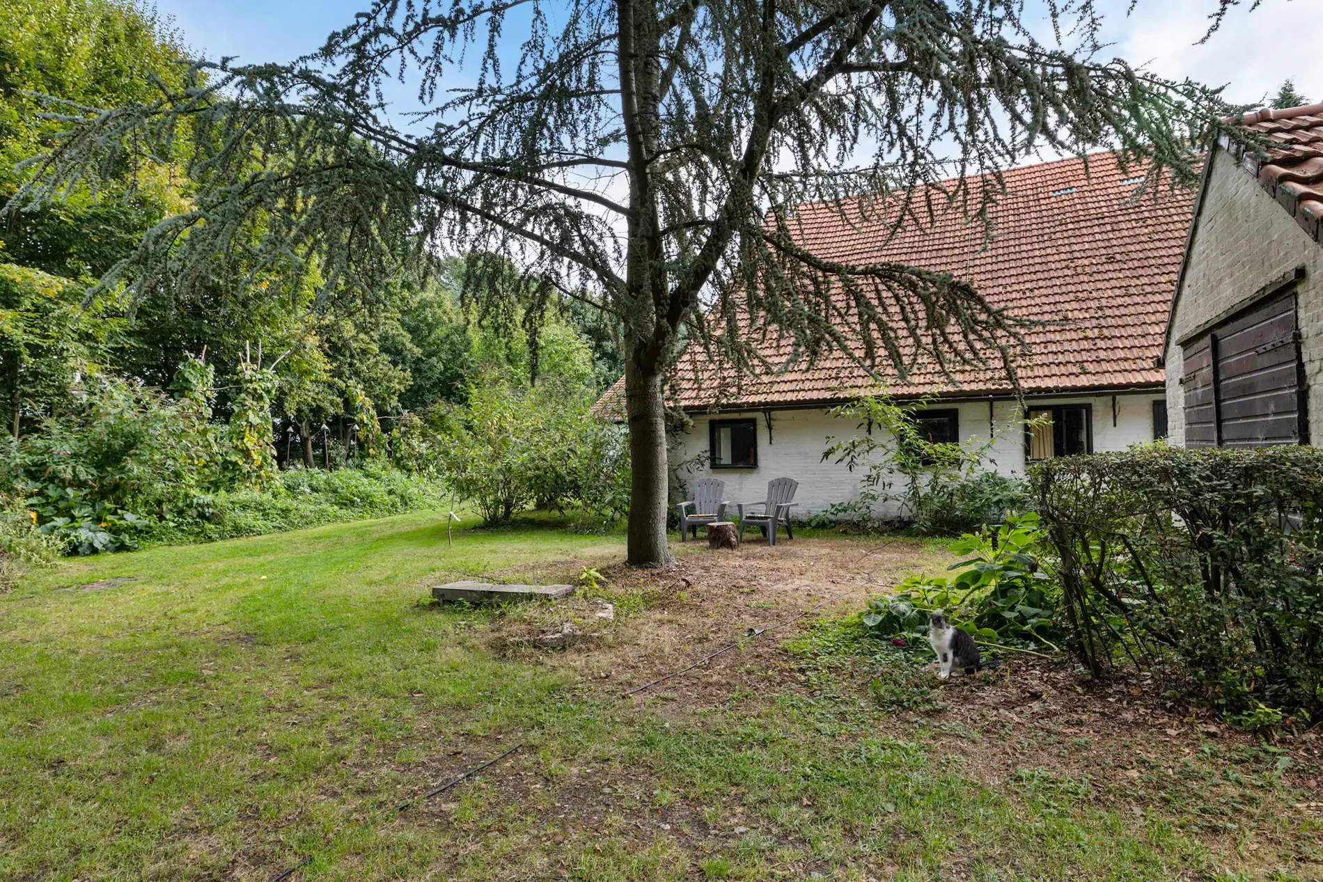 Exterior photo 10