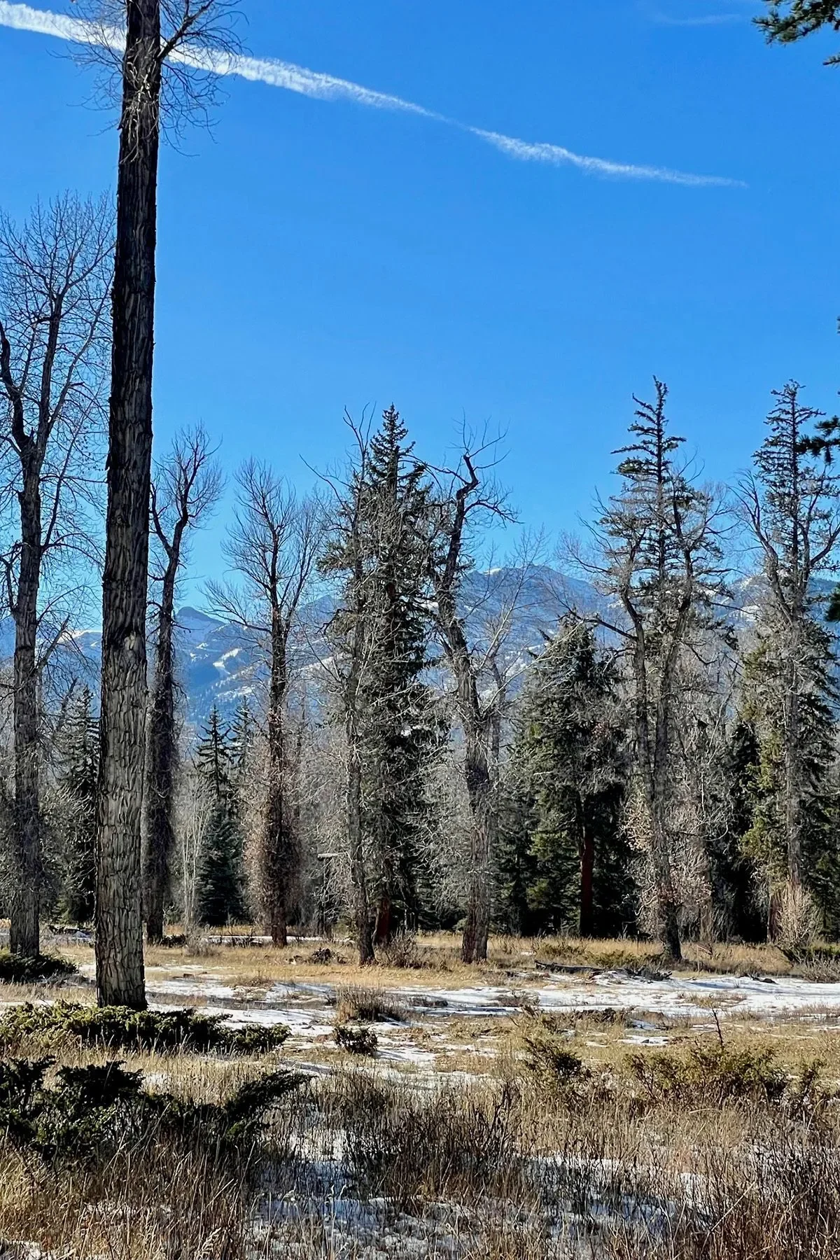 250 E Phelps Canyon Road , Jackson, WY 83001, Jackson, Wyoming, United States. - Photo 2