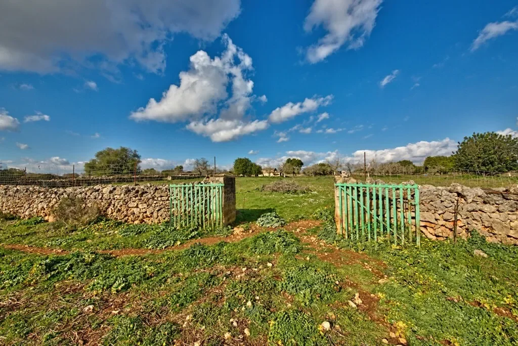 Charming land for sale, near Maria de la Salut in Mallorca