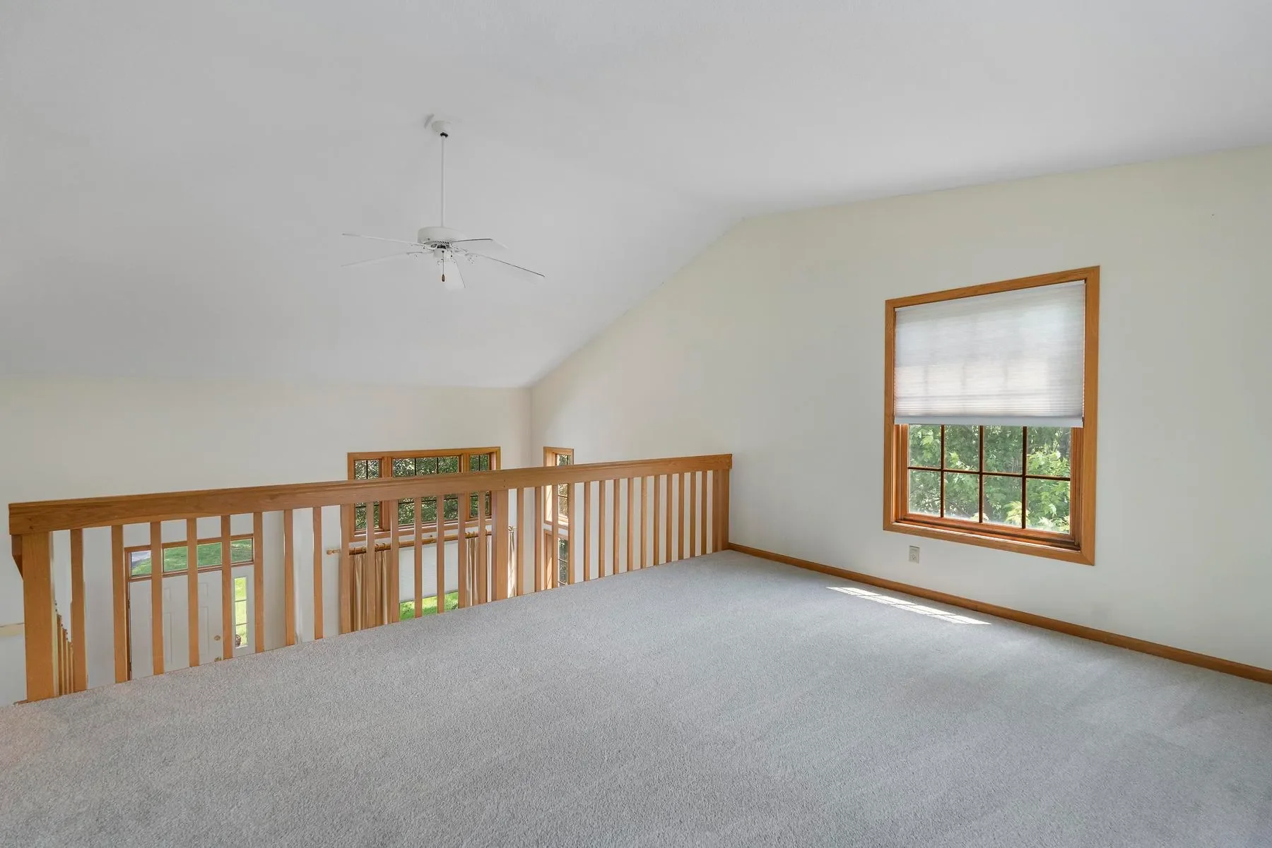 Gallery photo 11