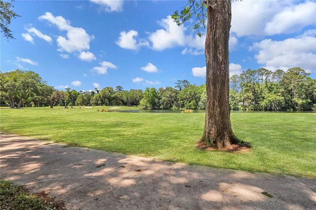 121 Colonial Drive, St Simons Island, GA 31522, St. Simons, Georgia, United States. - Photo 21