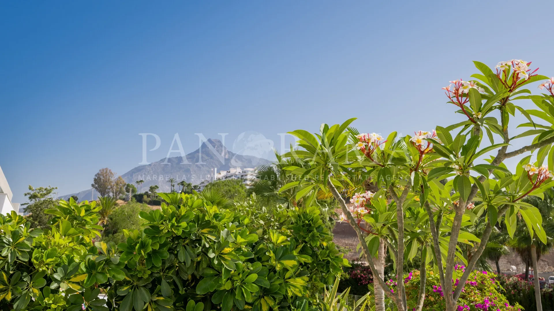 Marbella, Andalusia, Spain. - Photo 38