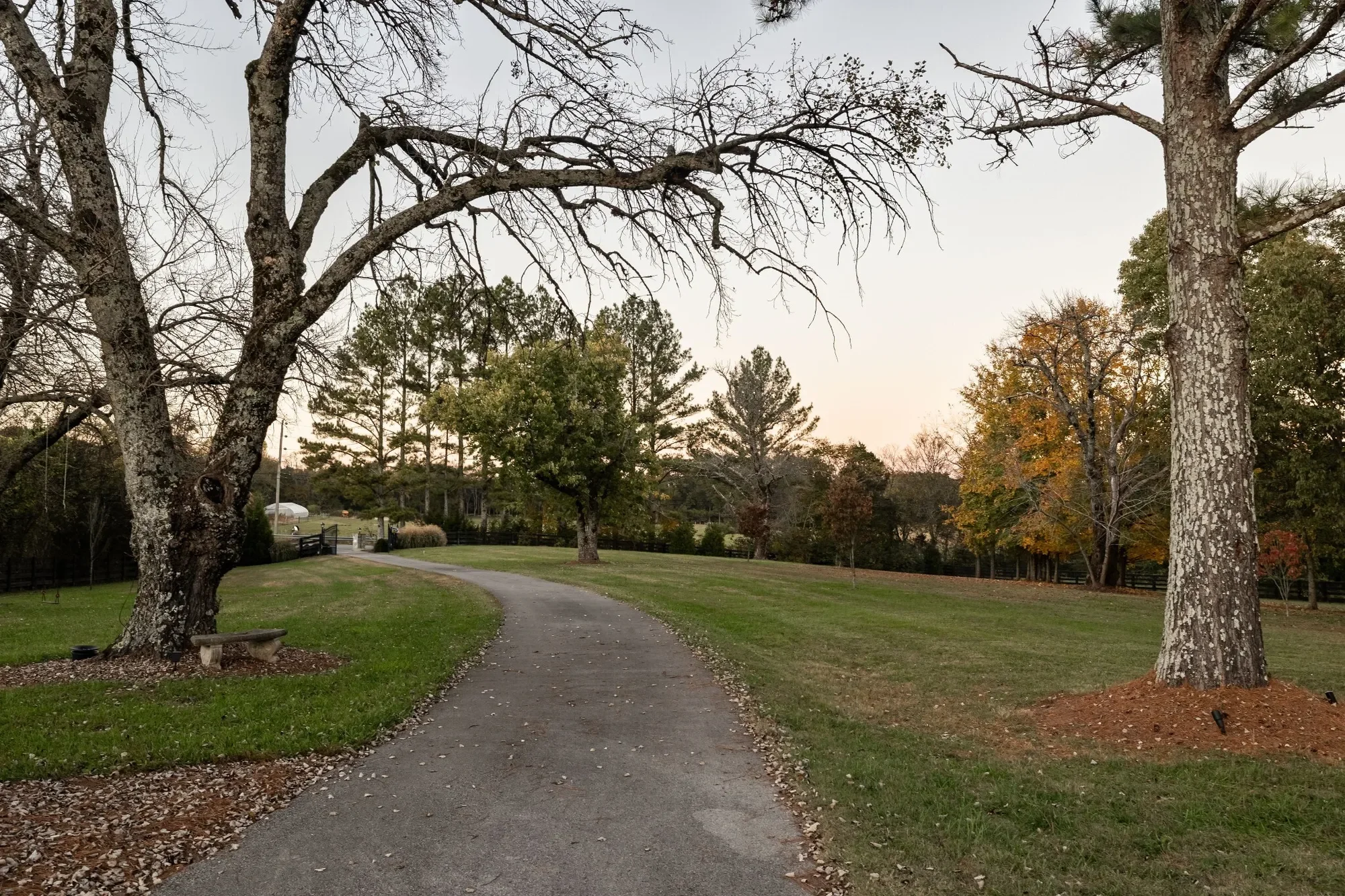 6537 Arno College Grove Rd , College Grove, TN 37046, College Grove, Tennessee, United States. - Photo 50