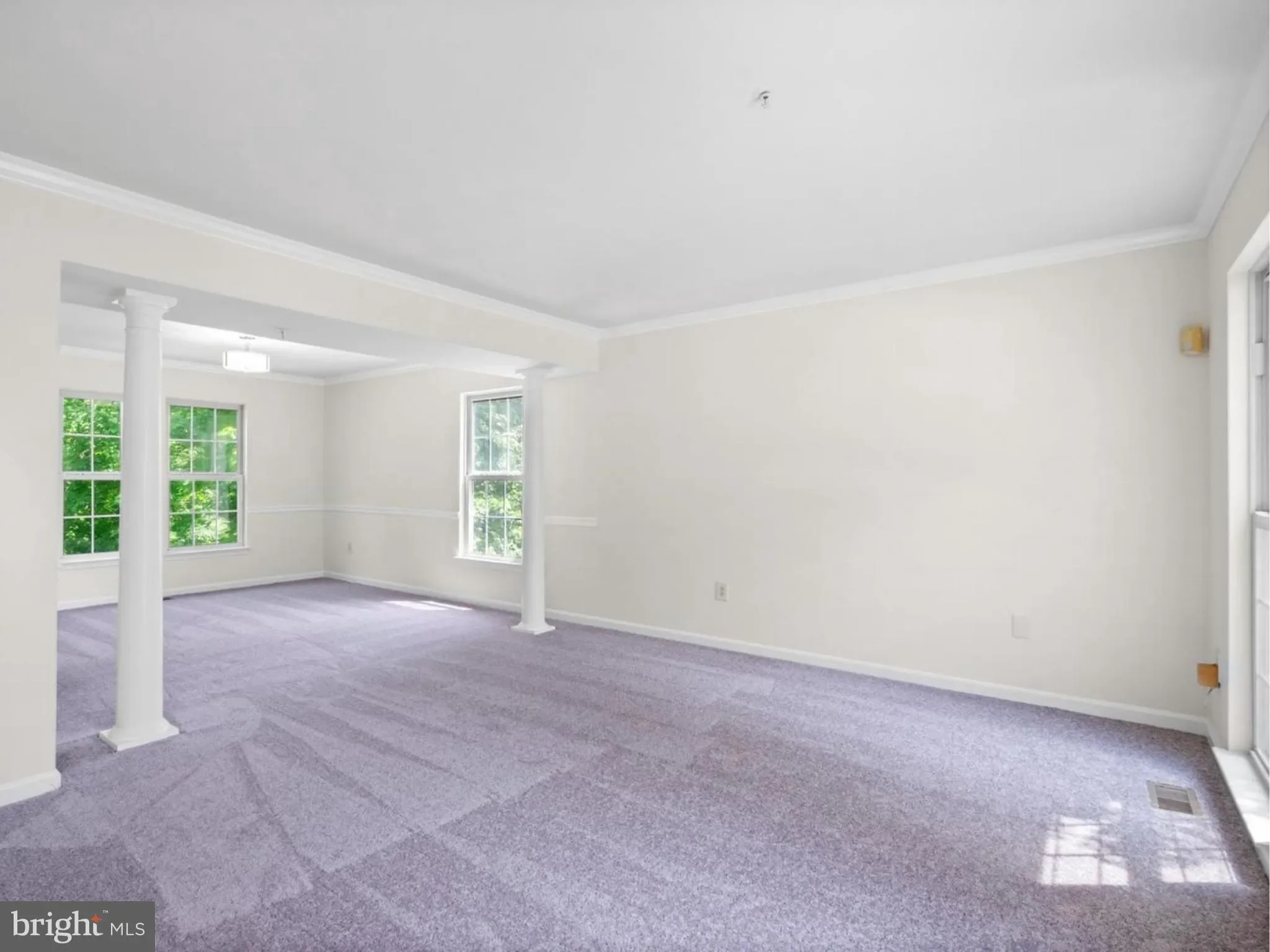 Gallery photo 11