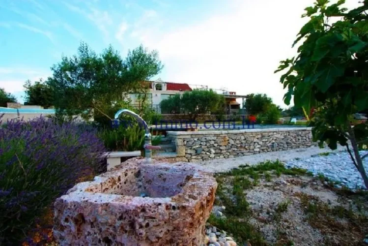 Brač, Croatia, Dol, Split-Dalmatia County, Croatia. - Photo 17