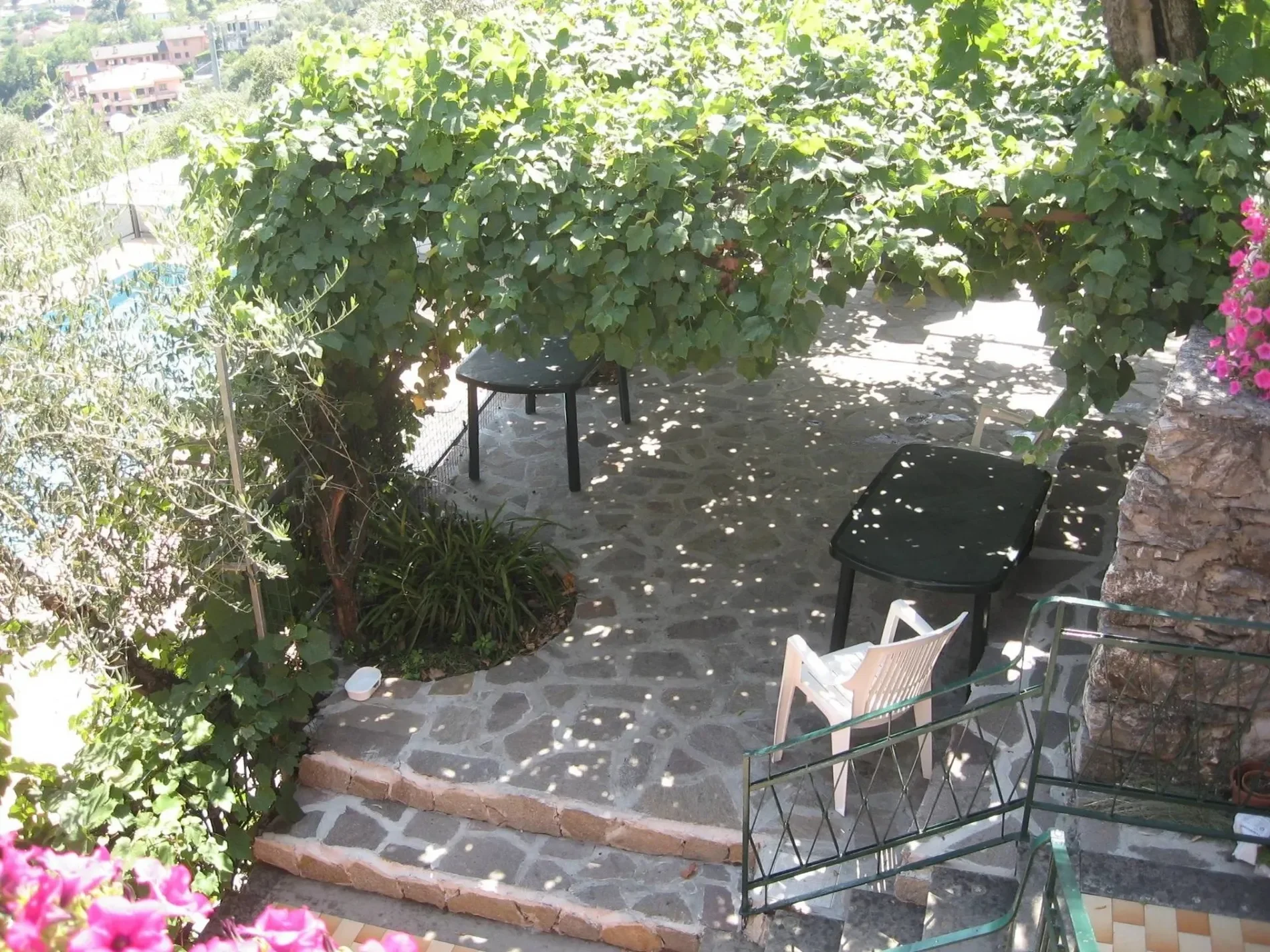 Gallery photo 6