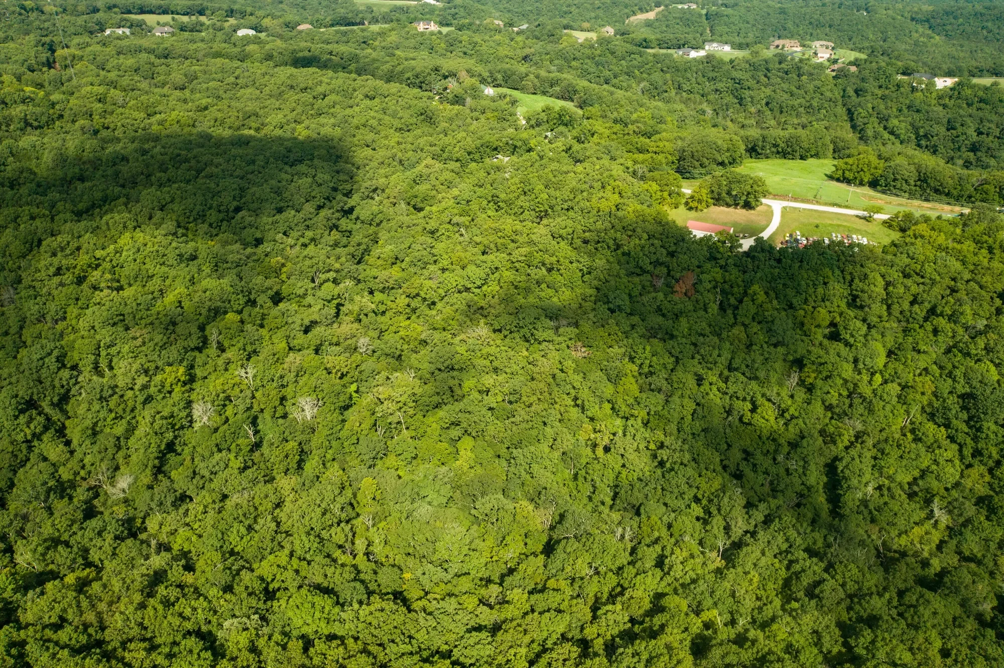 2488 Us Highway 160, Walnut Shade, MO 65771, Walnut Shade, Missouri, United States. - Photo 88