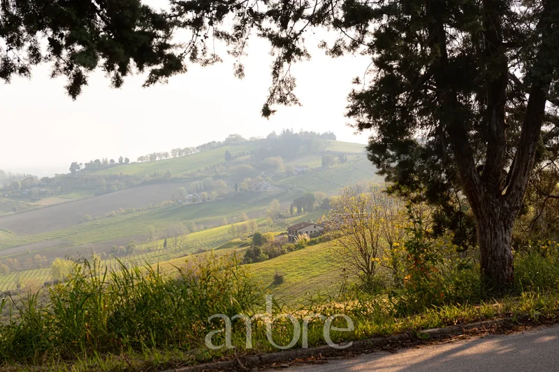 47032 Bertinoro, Province of Forlì-Cesena, Italy, Bertinoro, Emilia-Romagna, Italy. - Photo 32