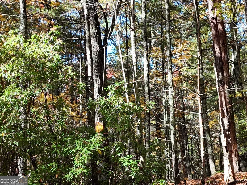 80.62 AC Morganton Hwy, Suches, GA, 30572, USA, Suches, Georgia, United States. - Photo 26