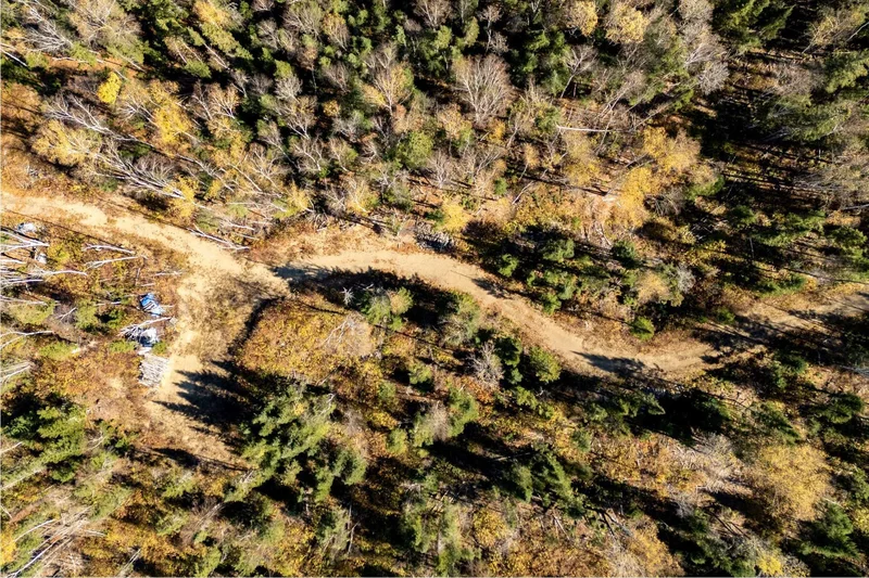 Ch. du Lac-Baribeau, Lac-Clef, Quebec, Canada. - Photo 15