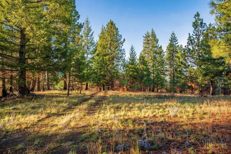 2155 Ashland Mine Road, Ashland, OR, 97520, USA, Ashland, Oregon, United States. - Photo 9