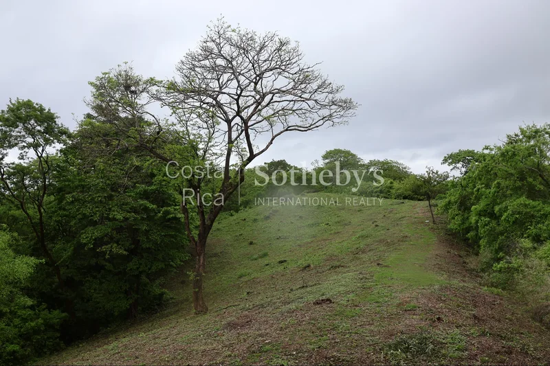 El Jobo, La Cruz, G, La Cruz, Costa Rica. - Photo 24