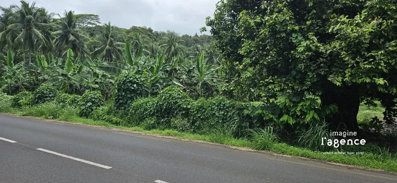 Hitiaa O Te Ra, Hitiaa O Te Ra, Hitiaa O Te Ra, Windward Islands, French Polynesia. - Photo 2
