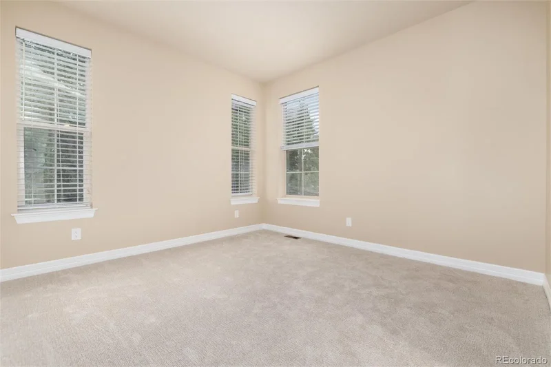 10703 Braesheather Court, Highlands Ranch, Colorado, United States. - Photo 36