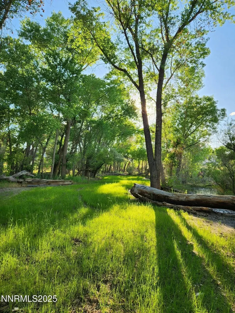 45 Casentino Court, Dayton, NV, 89403, USA, Dayton, Nevada, United States. - Photo 4