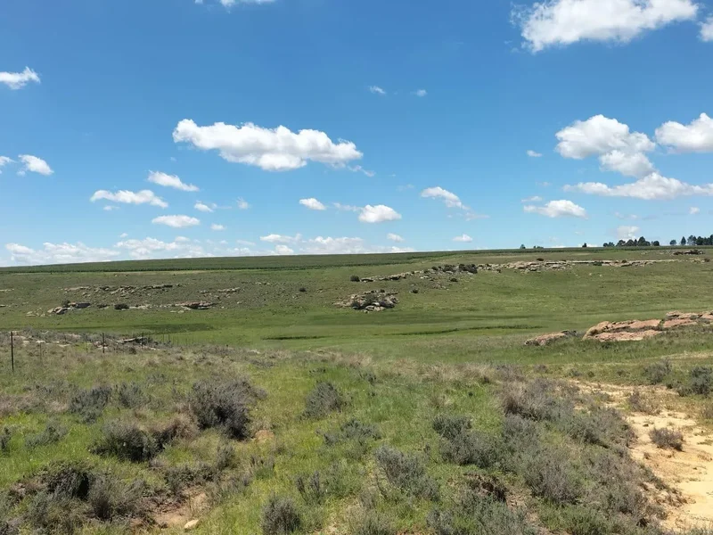 Bethlehem, Free State, South Africa. - Photo 35