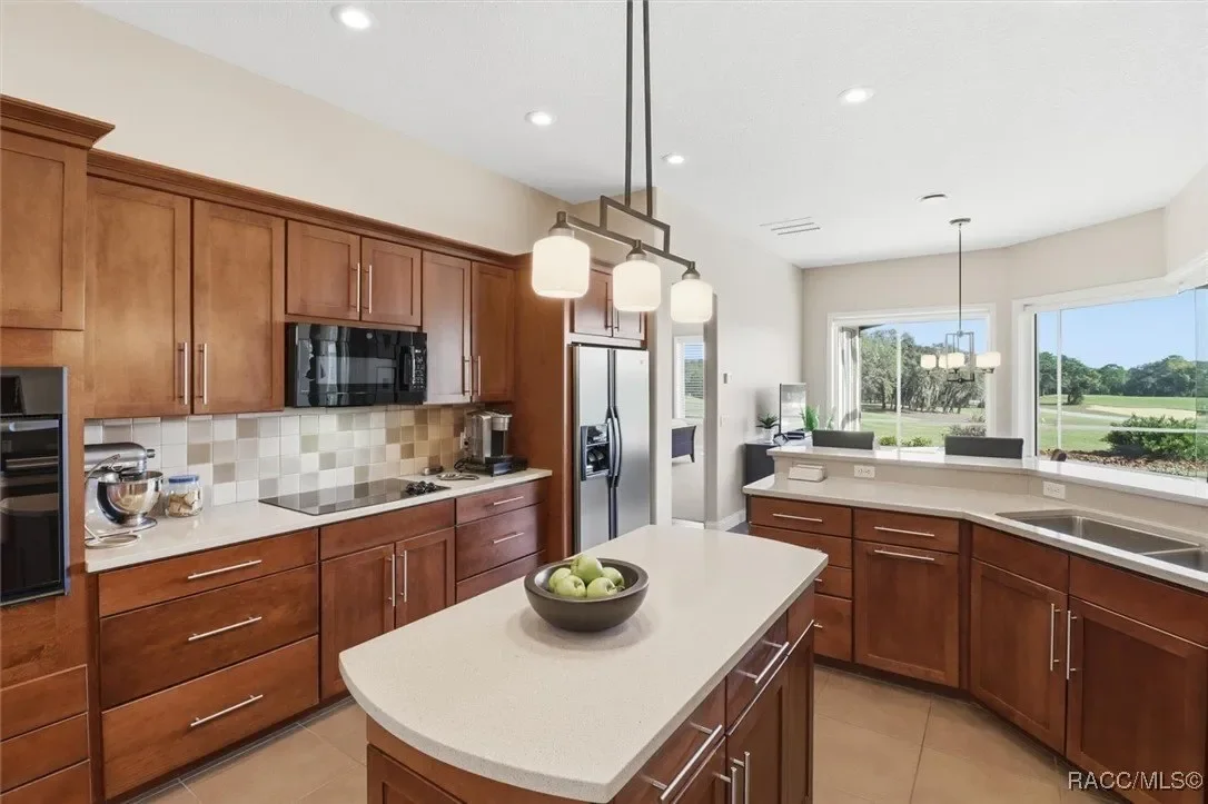 2618 N Carnoustie Loop, Lecanto, FL 34461, Lecanto, Florida, United States. - Photo 9