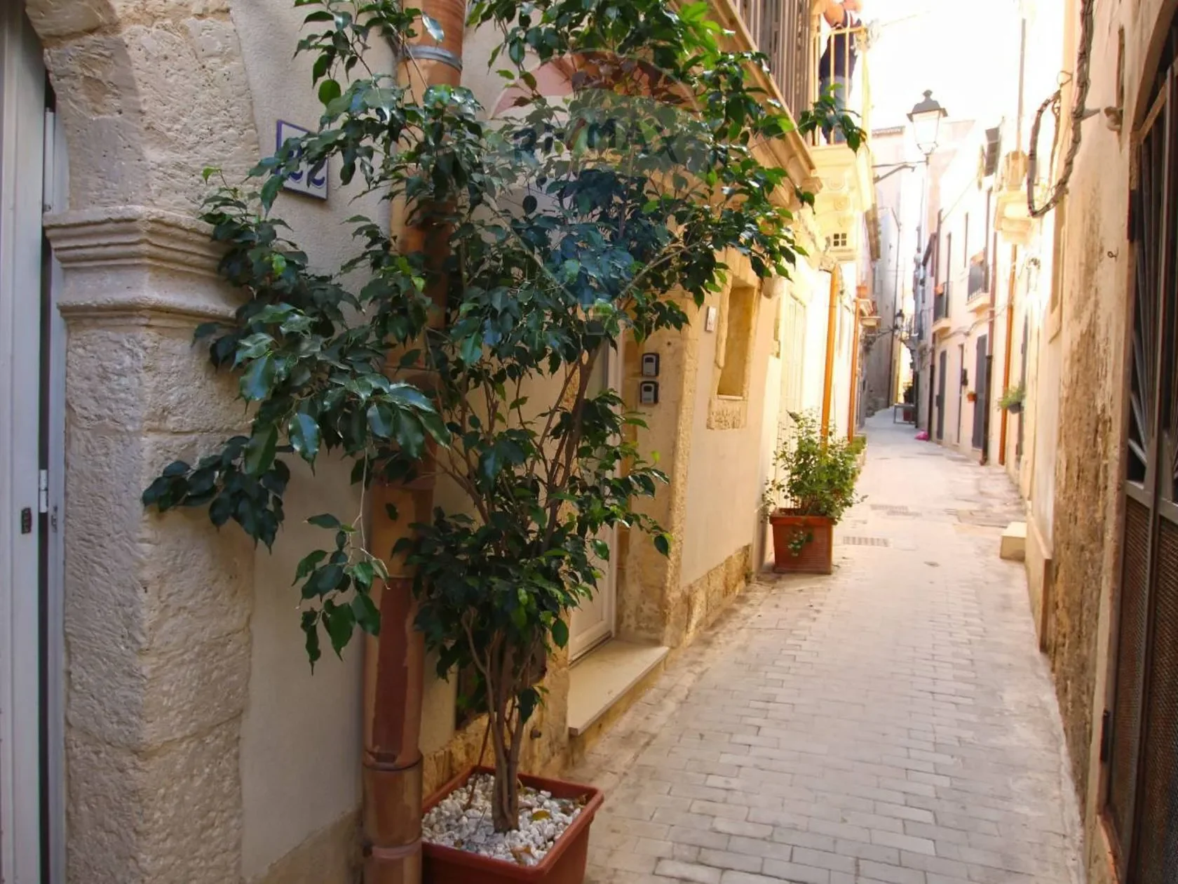 Sicily, Syracuse, Sicily, Italy. - Photo 35