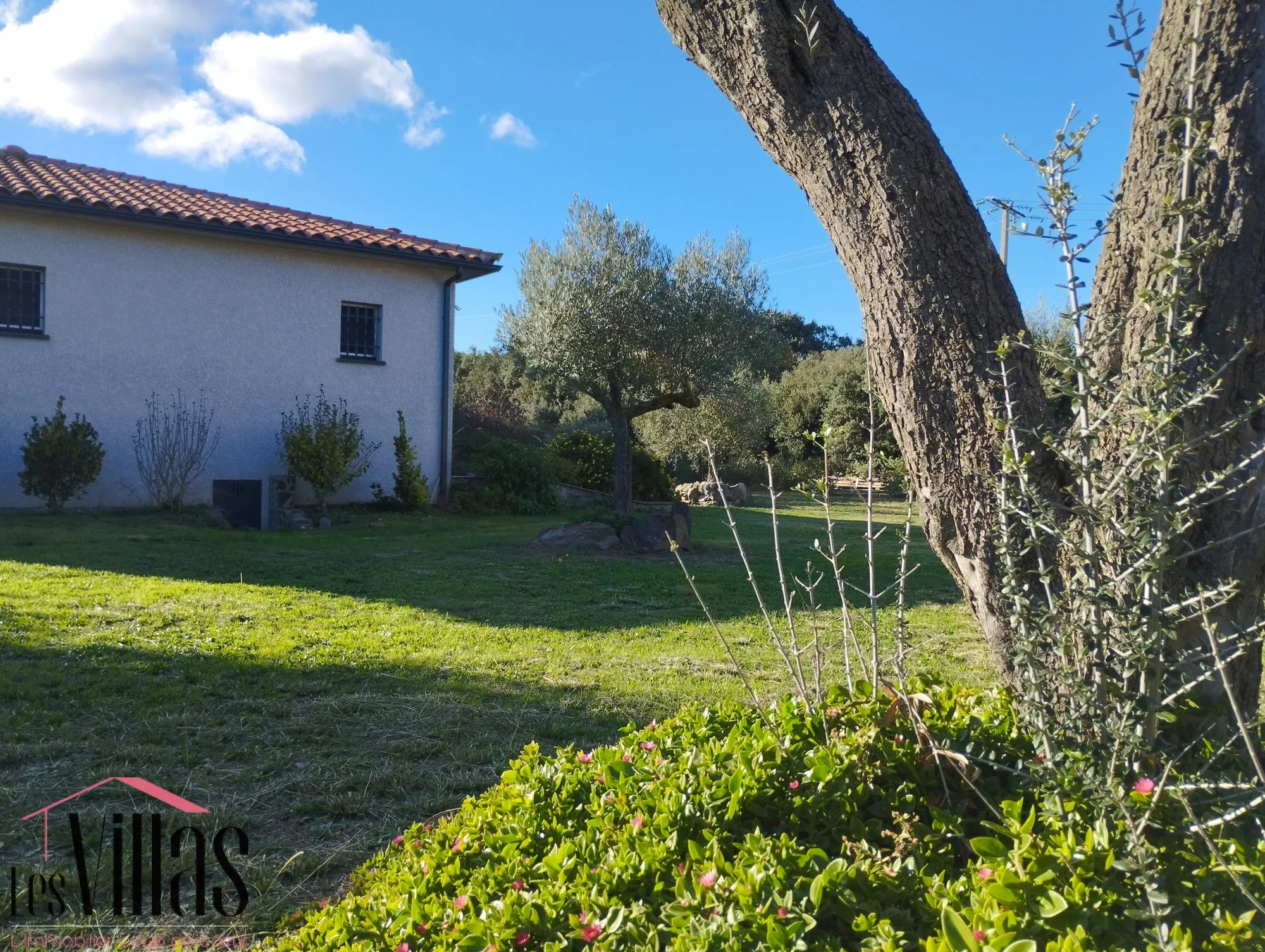 Céret, Occitanie, France. - Photo 19