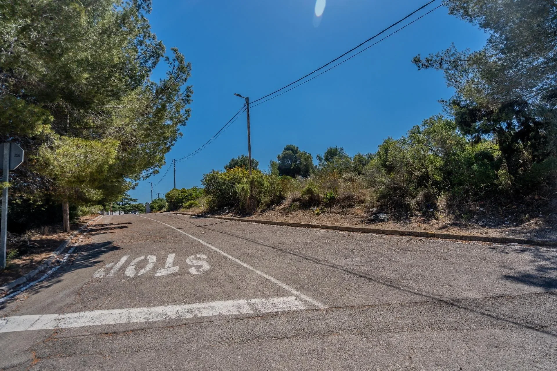 Calicanto, Torrent, VALENCIA, Torrent, Torrent, Valencian Community, Spain. - Photo 69