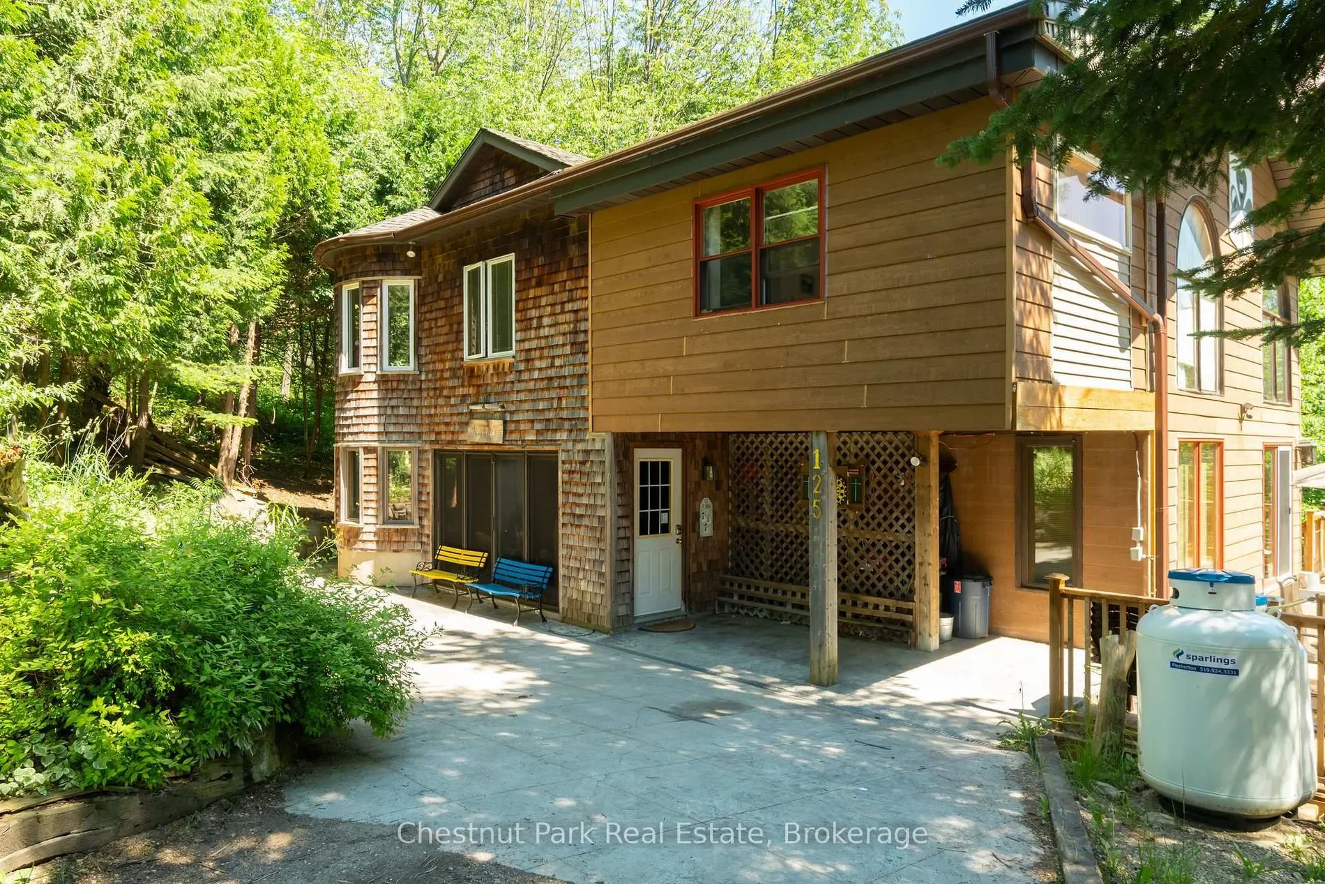 Gallery photo 7