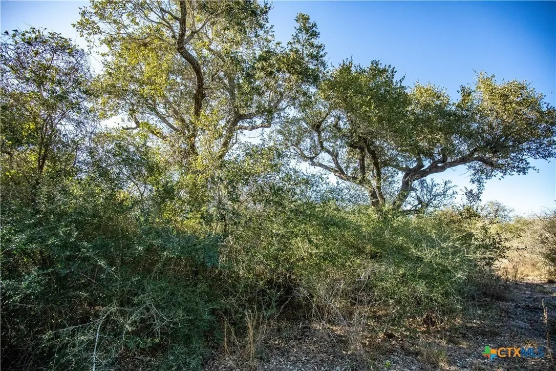 6498 Hwy 35 N, Rockport, TX 78382, Rockport, Texas, United States. - Photo 39