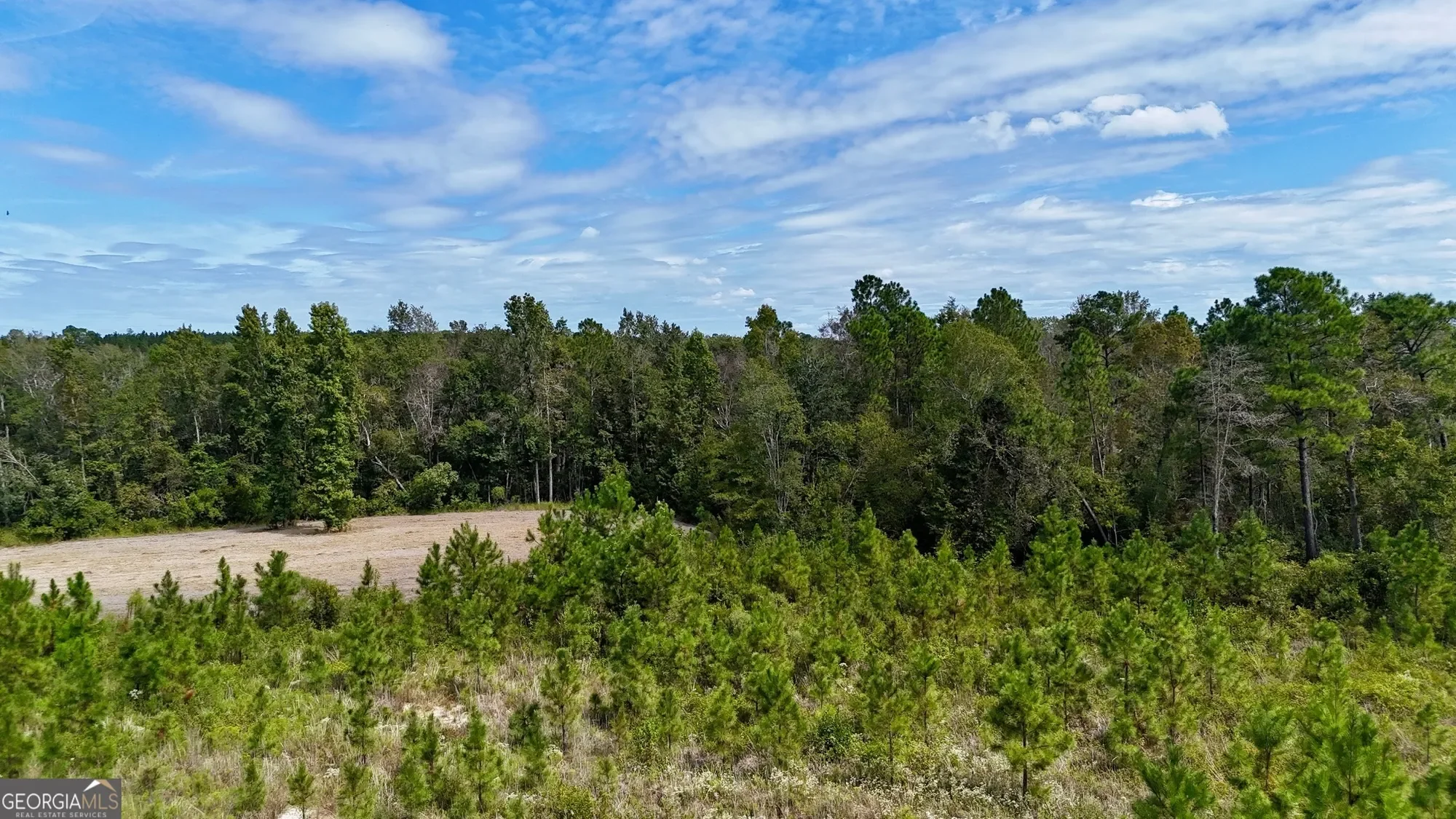 0 Ernest Carter Road, Hazlehurst, GA 31539, Hazlehurst, Georgia, United States. - Photo 1