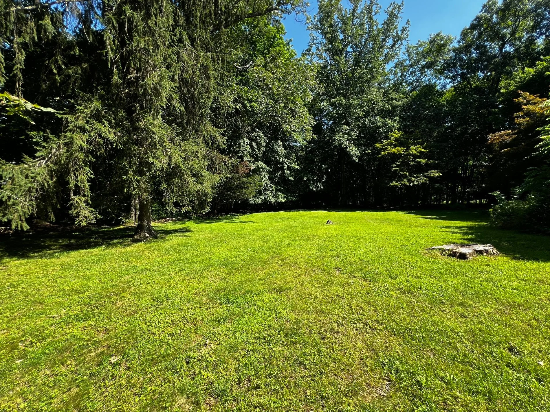 Gallery photo 4