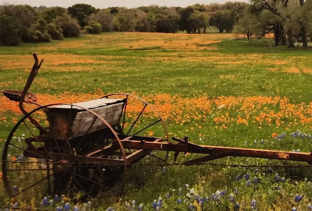 1905 County Rd 913, Burleson, Texas, United States. - Photo 19