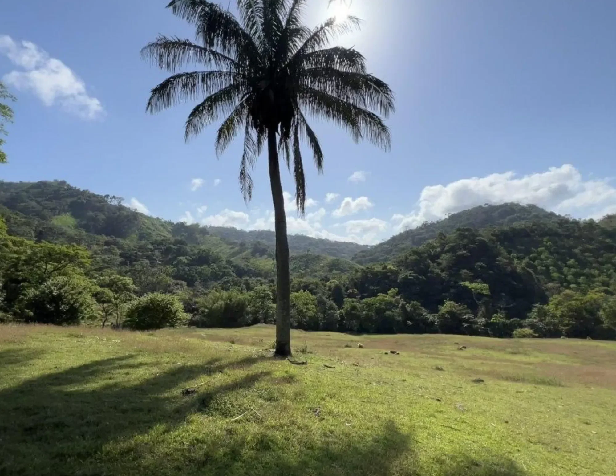 5WMC+69, Chepo, Panamá Province, Panama, Chepo, Panama, Panama. - Photo 2