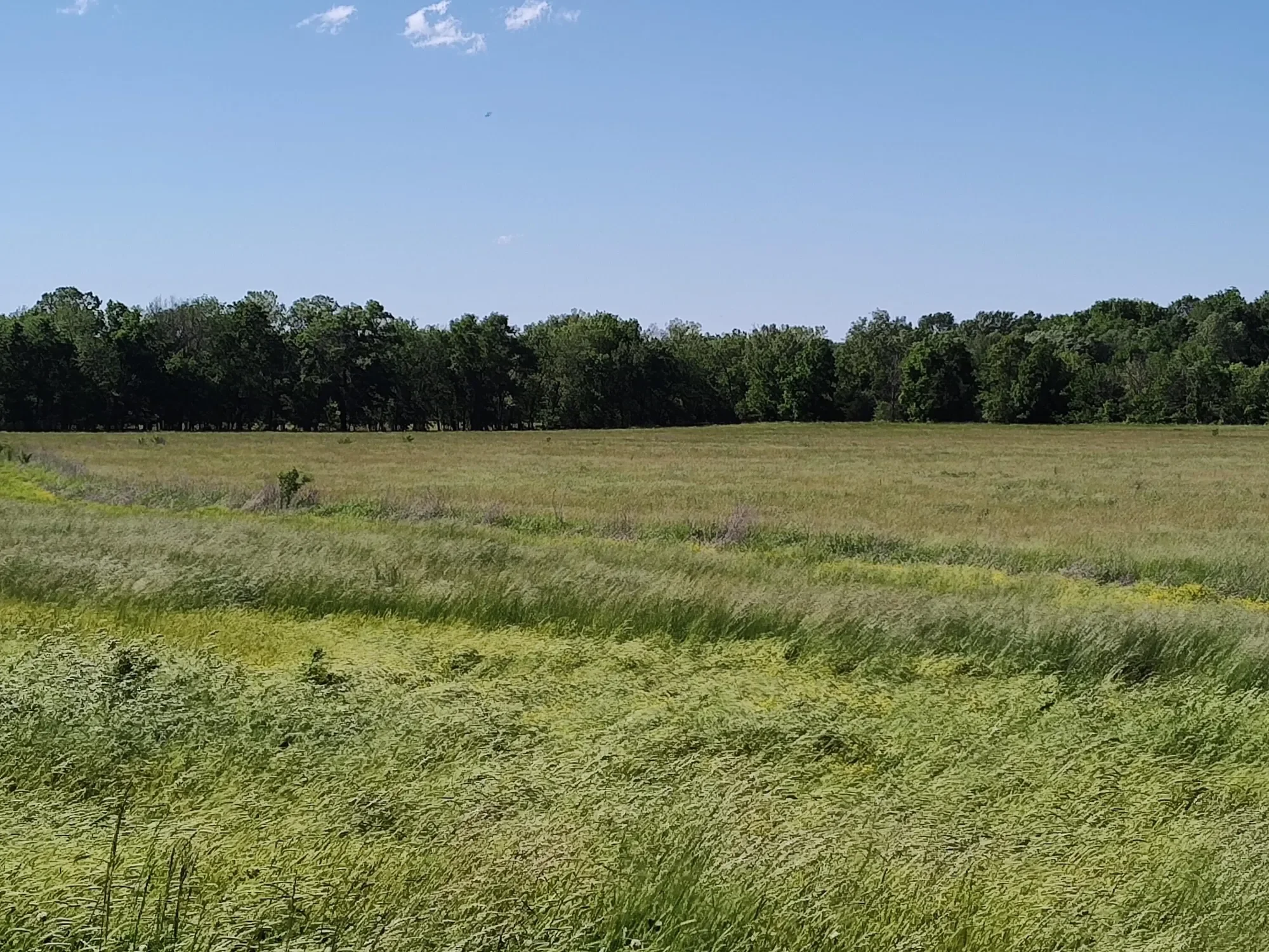 1898 E 332nd Road, Polk, MO 65727, Bolivar, Missouri, United States. - Photo 72