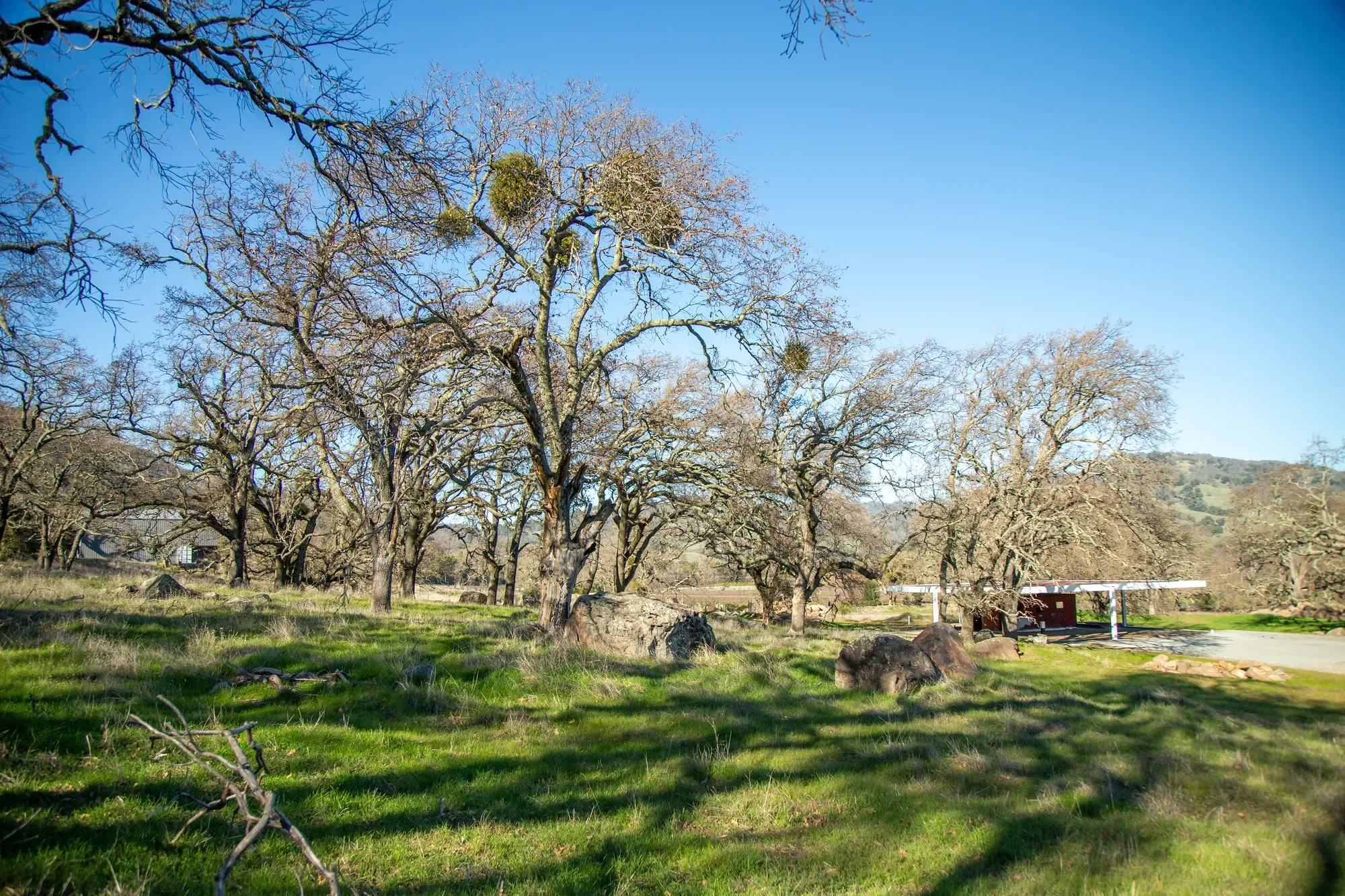 3576 Monticello Road , Napa, CA 94558, Napa, California, United States. - Photo 18