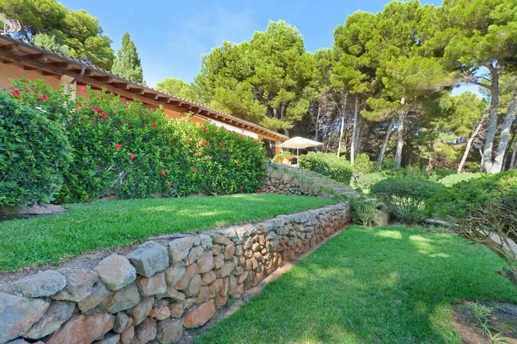 Costa de los Pinos, Baleares, Son Servera, Balearic Islands, Spain. - Photo 11