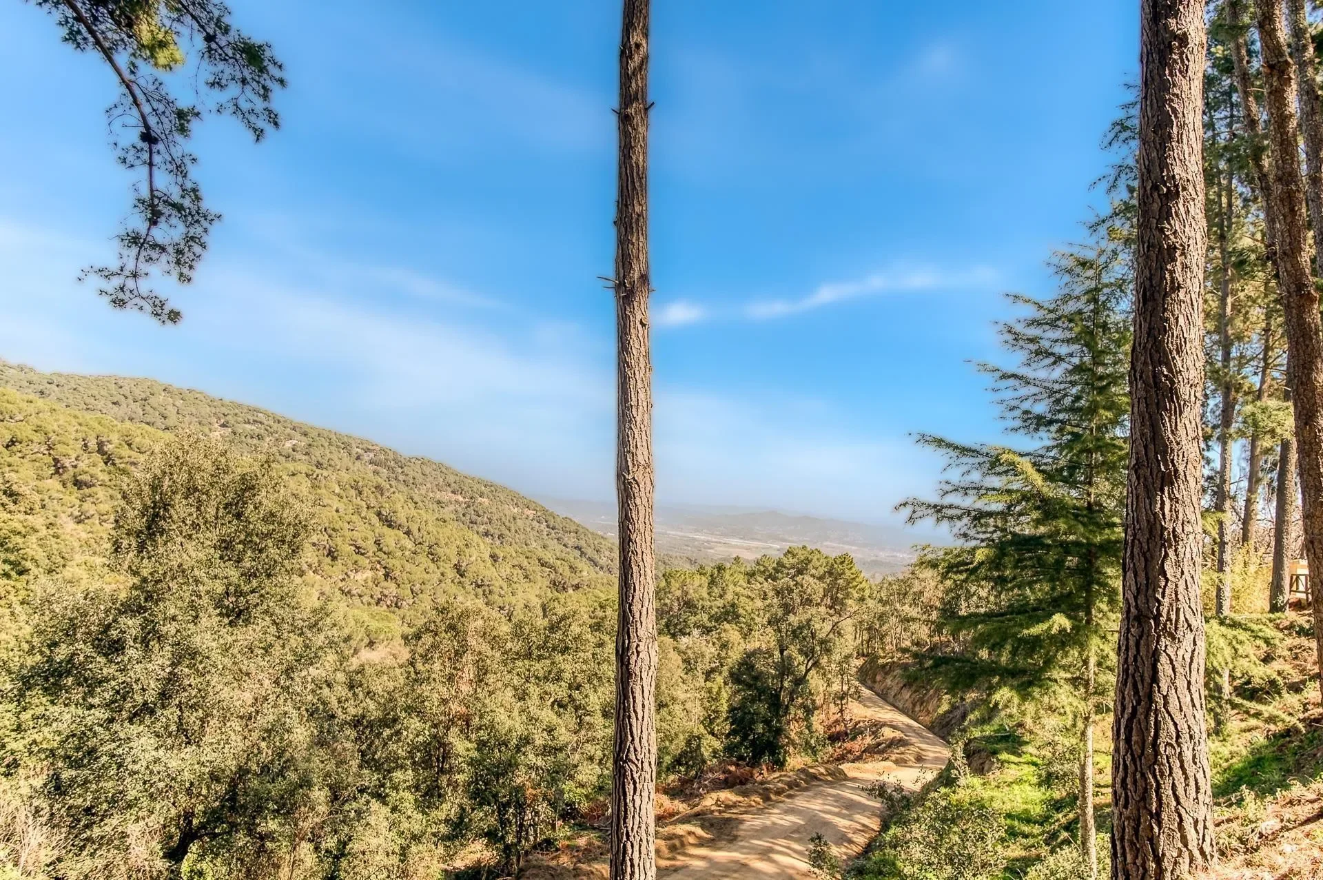 Hortsavinya, Tordera, BARCELONA, Tordera, Tordera, Catalonia, Spain. - Photo 36
