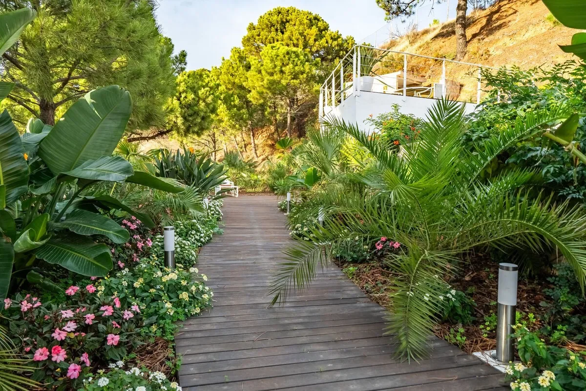 Málaga, Estepona, Andalusia, Spain. - Photo 21