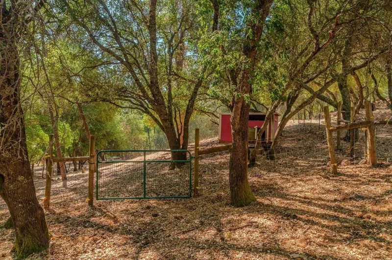 2988 Spring Hill Drive, San Andreas, CA 95249, San Andreas, California, United States. - Photo 5