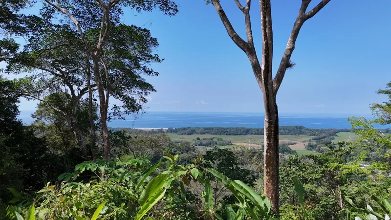 Finca Vista al Pacífico, 71 acres, Savegre de Aguirre, Puntarenas Province, Costa Rica. - Photo 13
