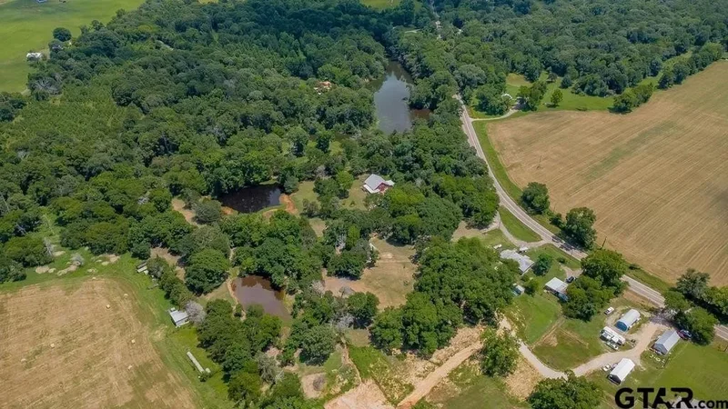 249 PR 6936, Alba, TX 75410, Mineola, Texas, United States. - Photo 31