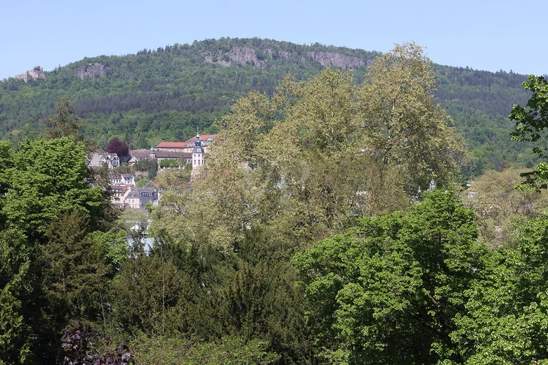 Baden-Baden, Baden-Württemberg, Germany. - Photo 26