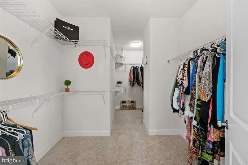 20305 SAVIN HILL DR DRIVE, ASHBURN, VA 20147, Ashburn, Virginia, United States. - Photo 34