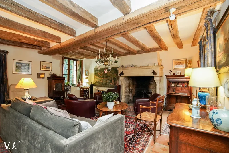 Azay-le-Rideau, Centre-Val de Loire, France. - Photo 8