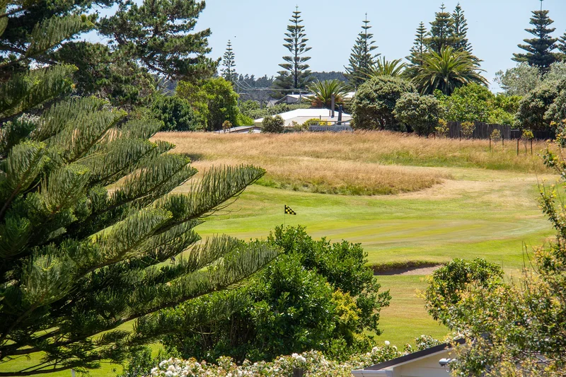 16 Palm Parade, Riversdale Beach, Wairarapa, WGN 5872, Riversdale Beach, Wellington, New Zealand. - Photo 10