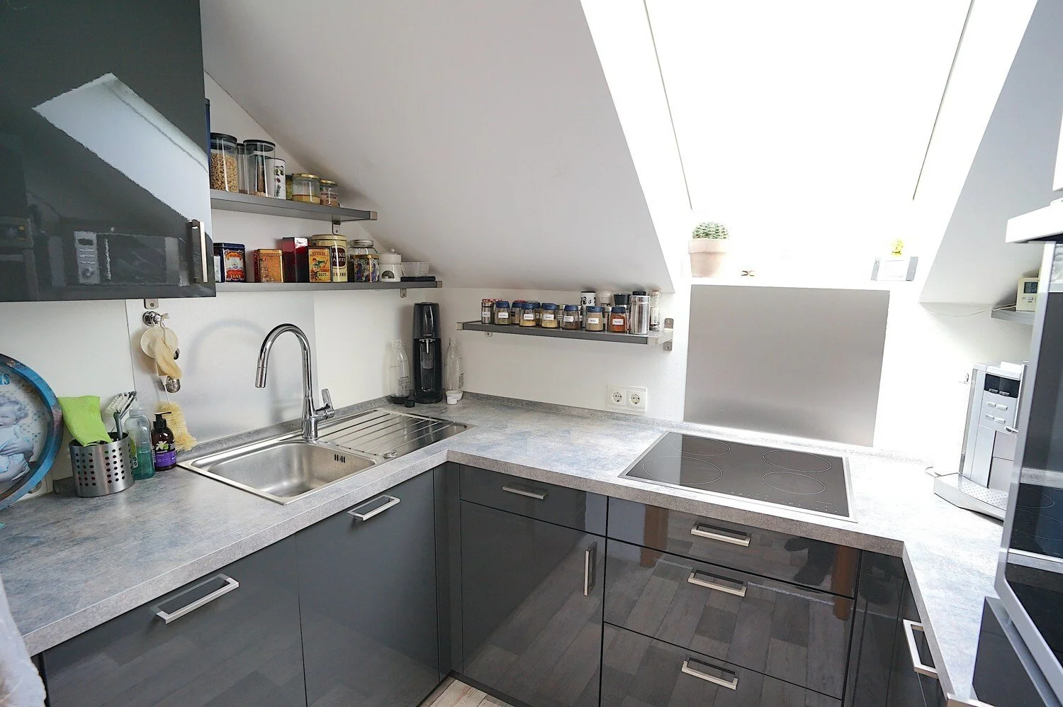 Gallery photo 7