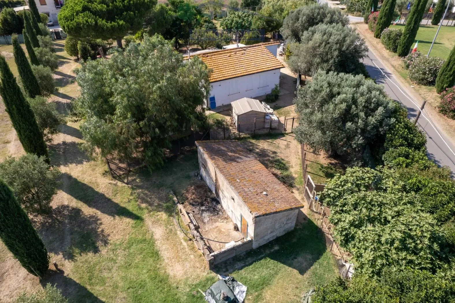 Località Quercette, Montalto di Castro, Lazio, Italy. - Photo 4