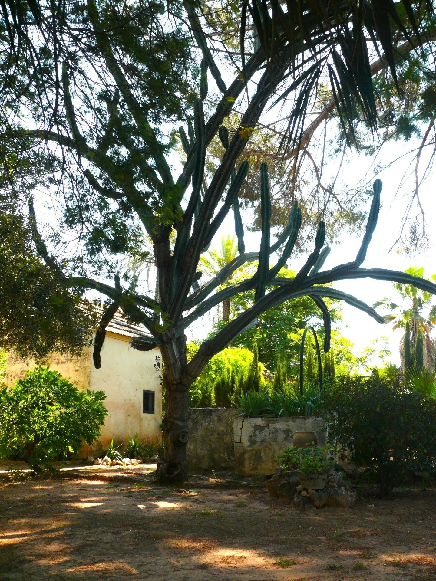 Exterior photo 8