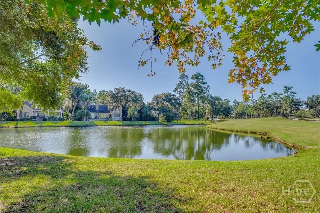 6 Oak Shadow Court, Savannah, Georgia, United States. - Photo 27